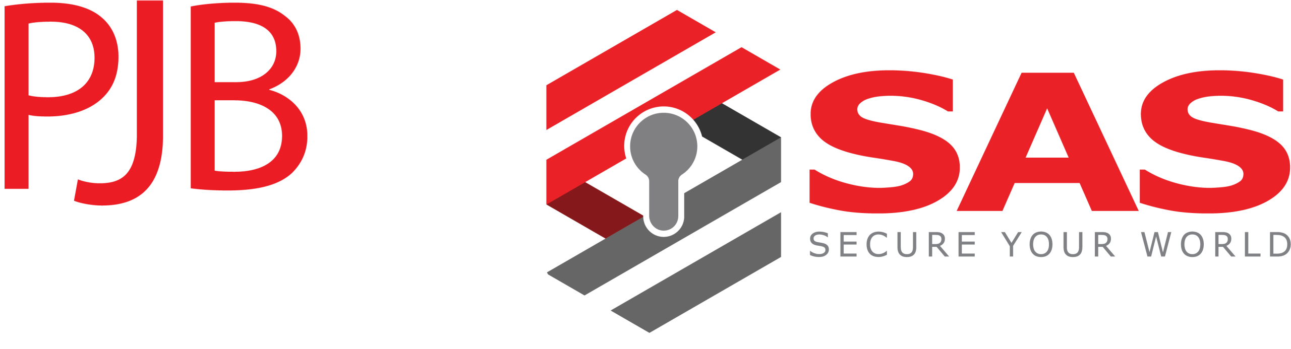 PJB SAS Products Logo