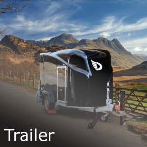 2 - SBNTrailer@4x - V2 2 - SBNTrailer@4x - V2